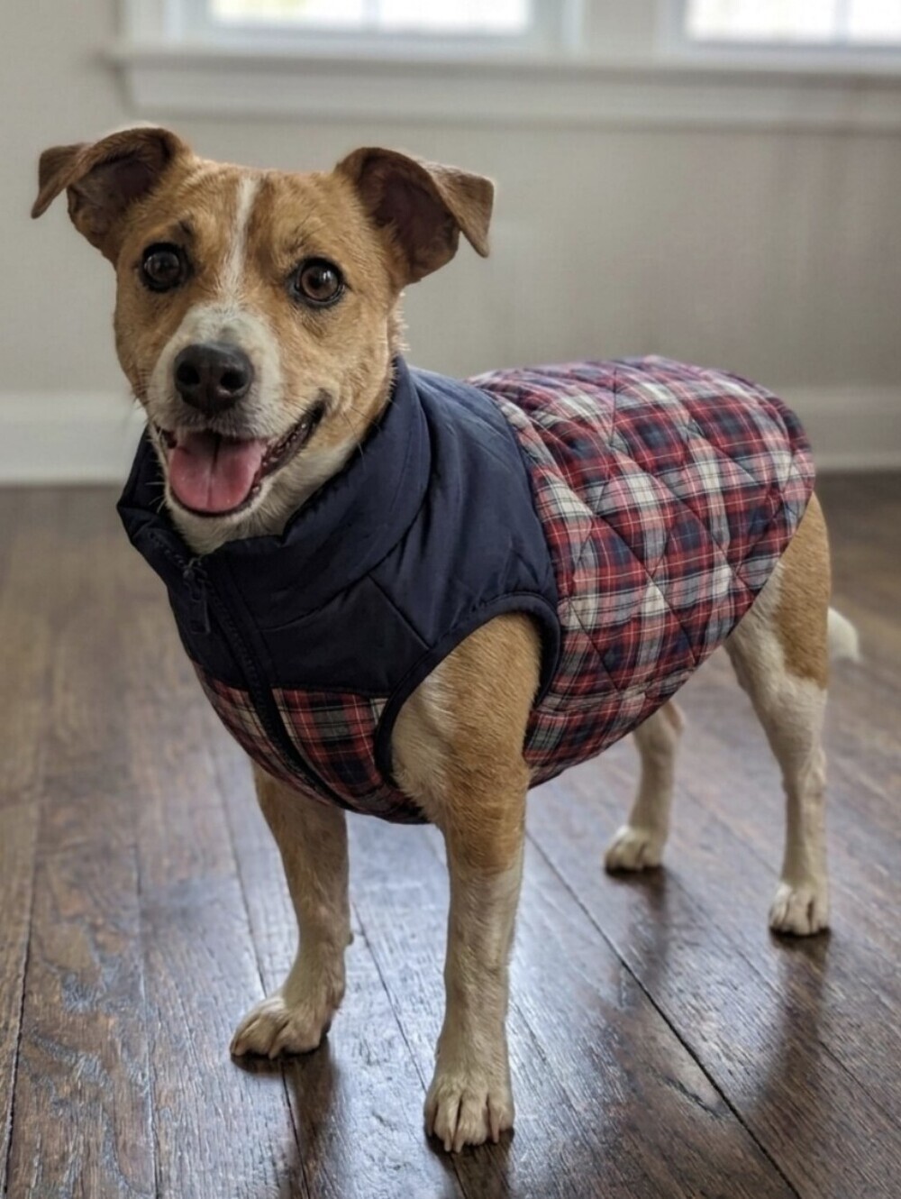 LIVE LOVE BARK Quilted Plaid Dog Coat, Velcro Closure, Size Large